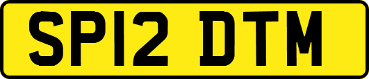 SP12DTM