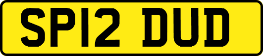 SP12DUD
