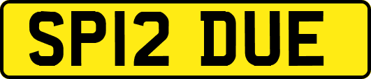 SP12DUE