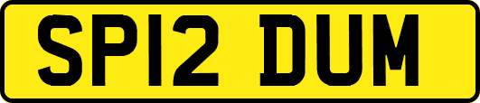 SP12DUM