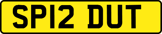 SP12DUT