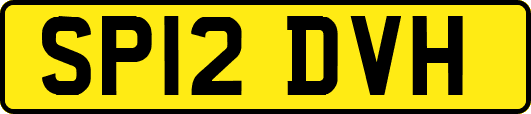 SP12DVH