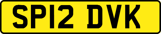 SP12DVK