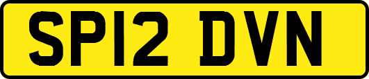SP12DVN