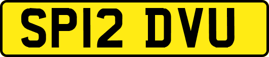 SP12DVU