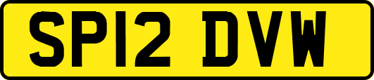 SP12DVW