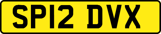 SP12DVX