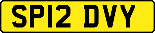 SP12DVY