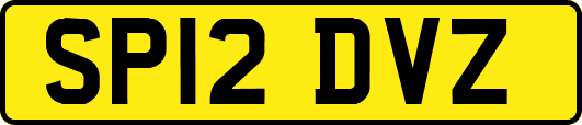 SP12DVZ