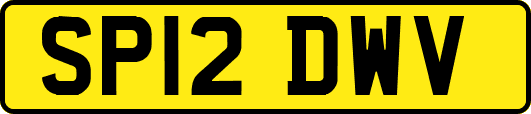SP12DWV