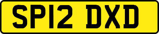 SP12DXD