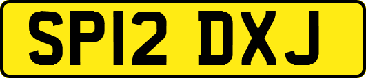 SP12DXJ
