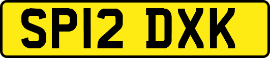 SP12DXK