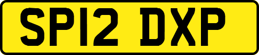SP12DXP