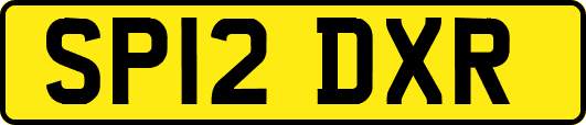 SP12DXR