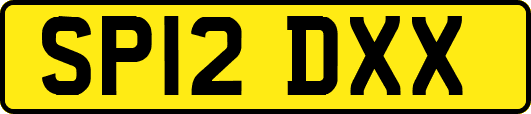 SP12DXX