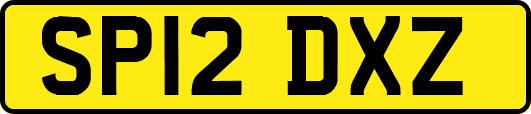 SP12DXZ