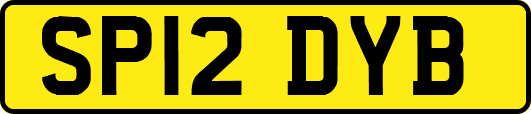 SP12DYB