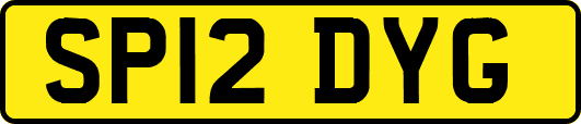 SP12DYG