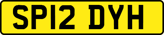 SP12DYH