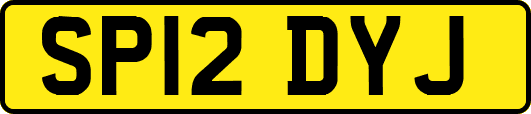 SP12DYJ
