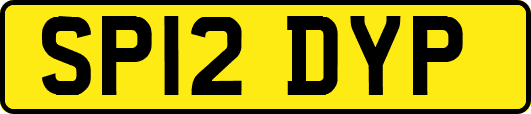 SP12DYP