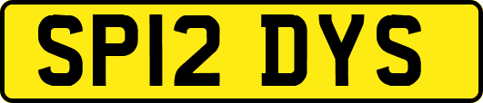 SP12DYS