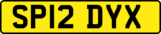 SP12DYX