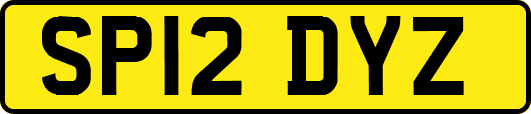 SP12DYZ