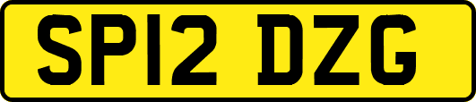 SP12DZG