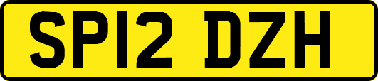 SP12DZH