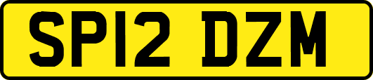 SP12DZM