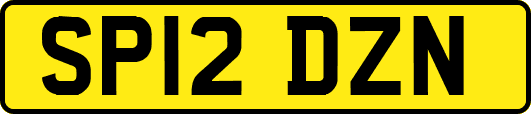 SP12DZN