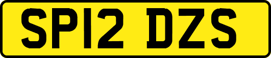 SP12DZS