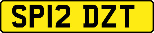SP12DZT