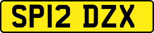 SP12DZX