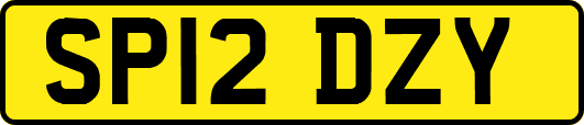 SP12DZY