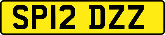 SP12DZZ