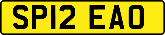 SP12EAO