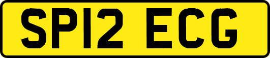 SP12ECG