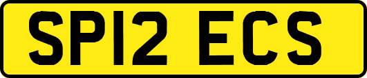 SP12ECS