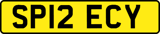 SP12ECY