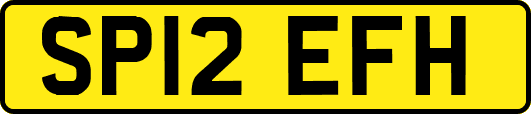 SP12EFH