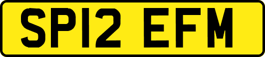 SP12EFM