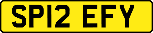 SP12EFY