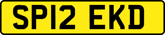 SP12EKD