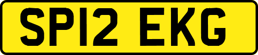 SP12EKG