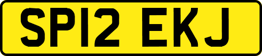 SP12EKJ
