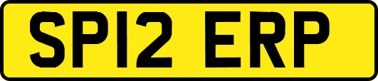 SP12ERP
