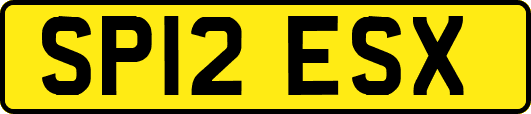 SP12ESX